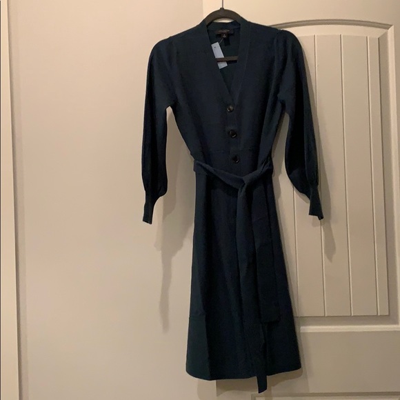 Ann Taylor Buttonfront Sweater Dress 